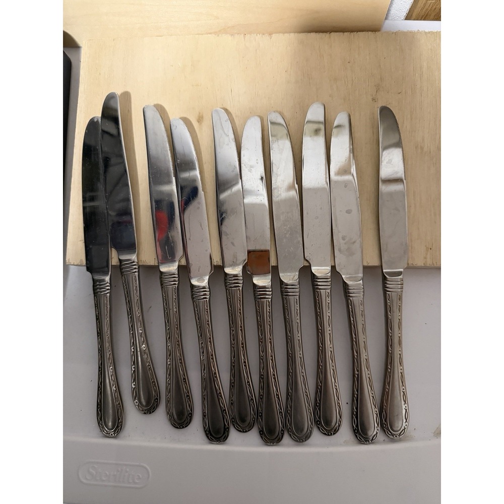 oneida 18/10 flatware Knives Vietnam Stainless Fish Pattern 10 Total